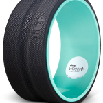 Chirp Wheel Plus 10"
