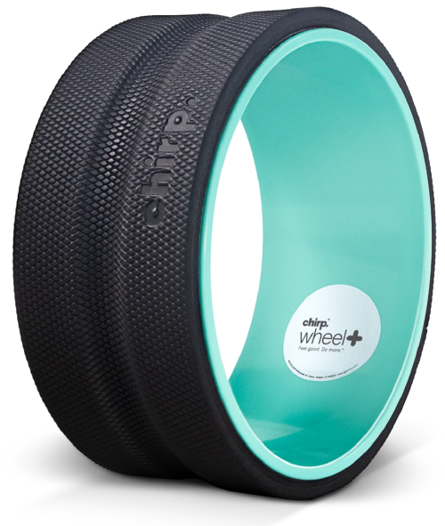 Chirp Wheel Plus 10"
