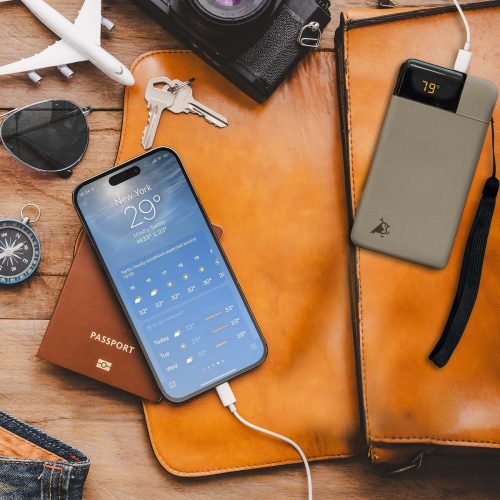 Aqiila Powerbird B10B 10000 mAh 20W - Bild 4